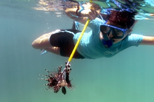 Romi Hernández, 15, floats to the surface with a speared lionfish. Hernández is one of twelve students that have been given scuba certification through APACS' scuba diving school. In return for free ccertification lasses, the students use their skills to hunt lionfish and pick up trash underwater.