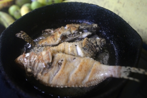 When lionfish are too small to sell to restaurants, members of the association will fry them up to eat at home.